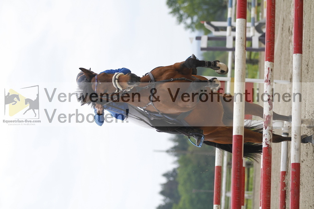 _MG_7817 | equestrian-live-com