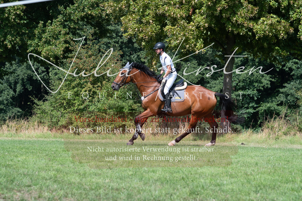 DSC_0816 | Pferde- und Turnierfotografie in Westsachsen. Pferdeportraits, Auftragszeichnungen und intuitive Kunst.