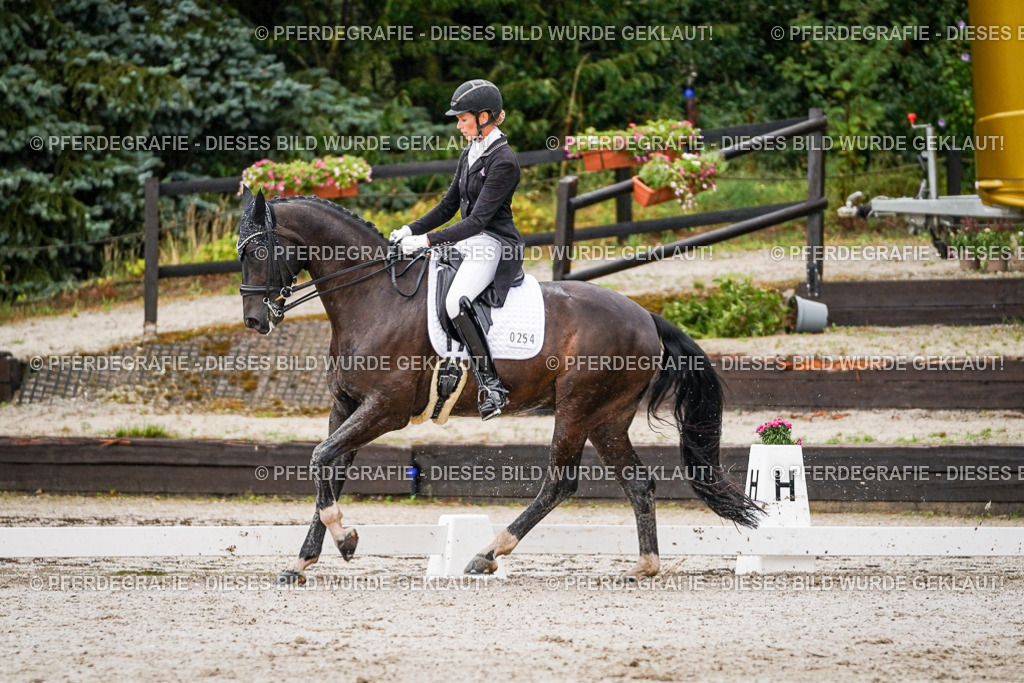 DSC08750 | Pferdegrafie