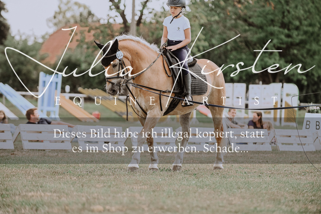 DSC_7696 | Pferde- und Turnierfotografie in Westsachsen. Pferdeportraits, Auftragszeichnungen und intuitive Kunst.