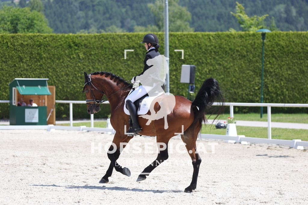 0P6A5839 | Willkommen bei Brunnmayr - Design & Fotografie – Ihrem Spezialisten für Reitturniere und Pferdeveranstaltungen in Oberösterreich, Salzburg und Bayern! Seit über 17 Jahren sind wir leidenschaftlich dabei.