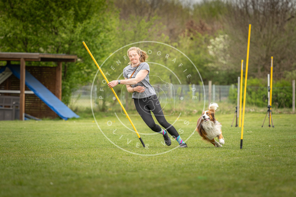 Pfotenfotografie_DV3A9448 | Hundefotografie, Tierfotograf, Pfotenfotografie, Fotoshooting Hund, Hunde Portrait, Hundesport, Hundeportraits, Heideshooting, Hunde, Sportfotograf, Hundefotograf, Turnierhundsport, THS,  - Realisiert mit Pictrs.com