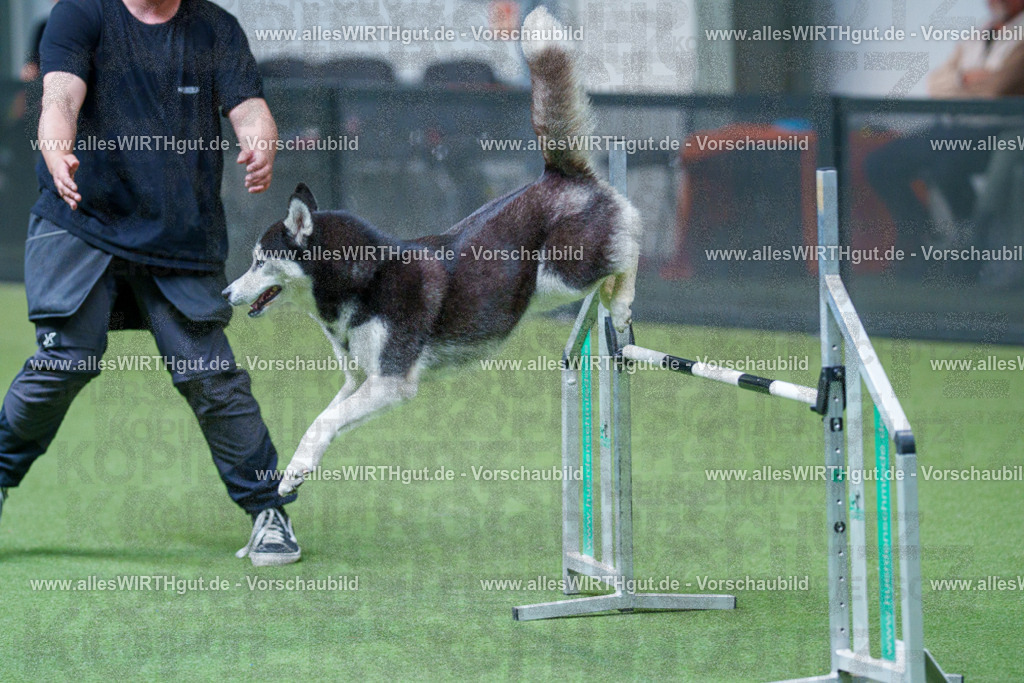 @allesWIRTHgut_Tierfotografie - www.allesWIRTHgut.de - 2604251550-7R506283 | Professionelle Tierfotografie in Mönchengladbach von Daniel Wirth (allesWIRTHgut). Liebevolle & natürliche Bilder von Hunden & Katzen für unvergessliche Erinnerungen.