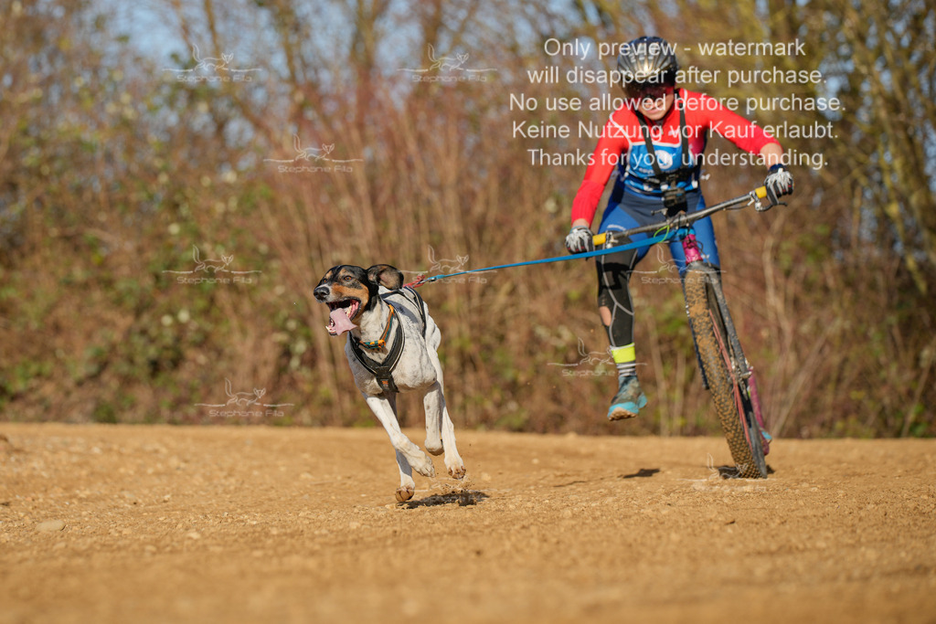 So_DVGBSP2025_Scooter (245 von 286) | stephaniefillaphotographie - Realisiert mit Pictrs.com