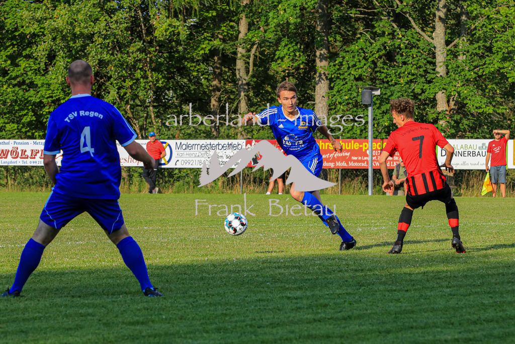 OE7A7447 | mitte, Stephan Klauser