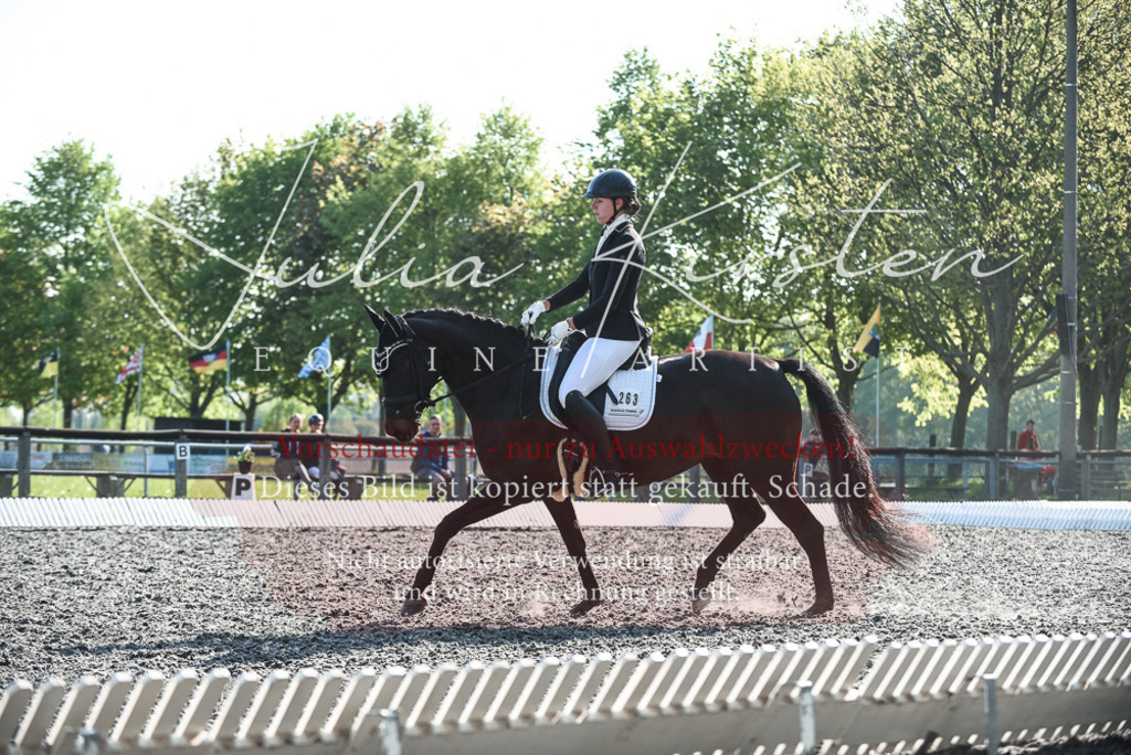 DSC_8385 | Pferde- und Turnierfotografie in Westsachsen. Pferdeportraits, Auftragszeichnungen und intuitive Kunst.