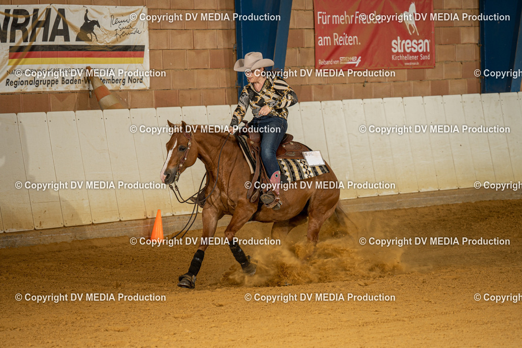 MIT00144 | dv-media-shop - Realisiert mit Pictrs.com