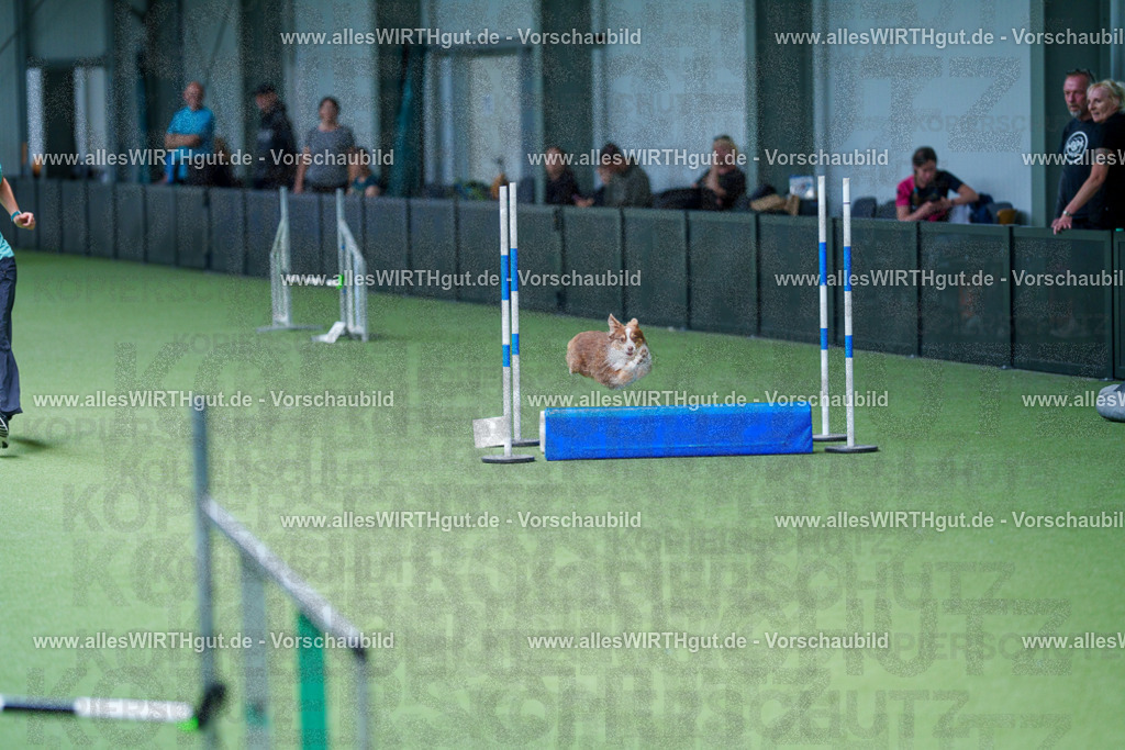 @allesWIRTHgut_Tierfotografie - www.allesWIRTHgut.de - 2604261220-7R500706 | Professionelle Tierfotografie in Mönchengladbach von Daniel Wirth (allesWIRTHgut). Liebevolle & natürliche Bilder von Hunden & Katzen für unvergessliche Erinnerungen.