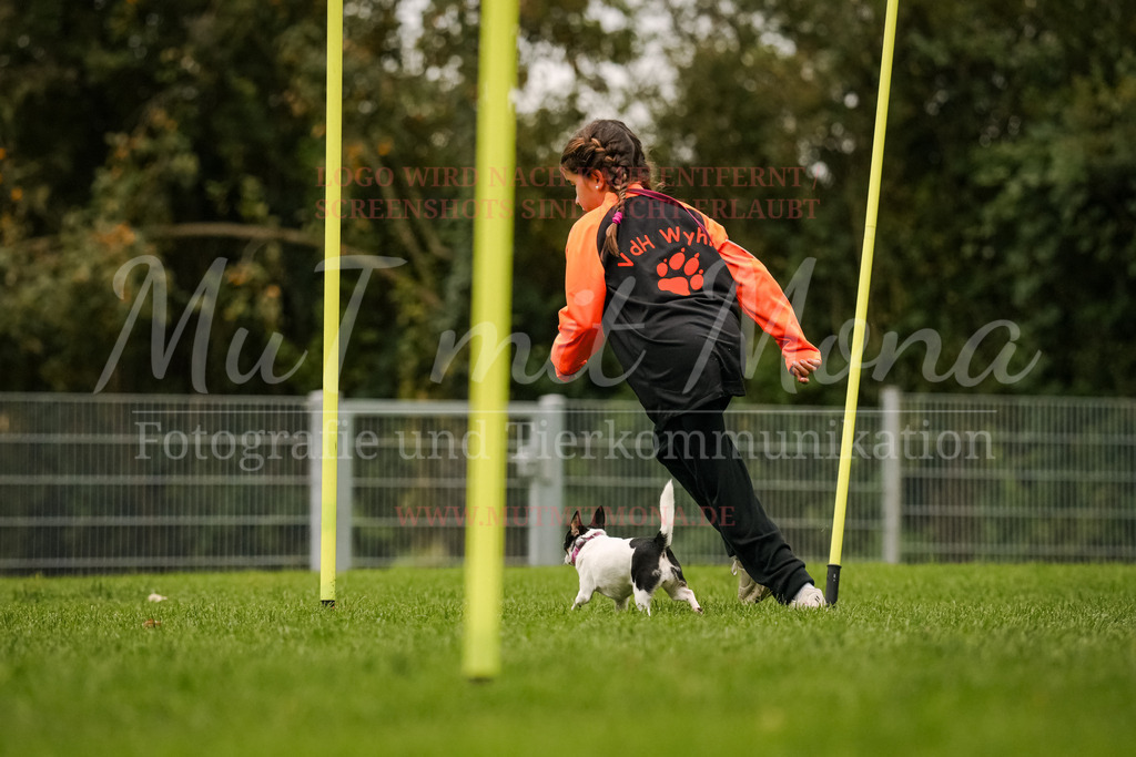 20251005_THS_Turnier-475 | MuT (Mensch und Tier) mit Mona - Fotografie und Tierkommunikation - Realisiert mit Pictrs.com