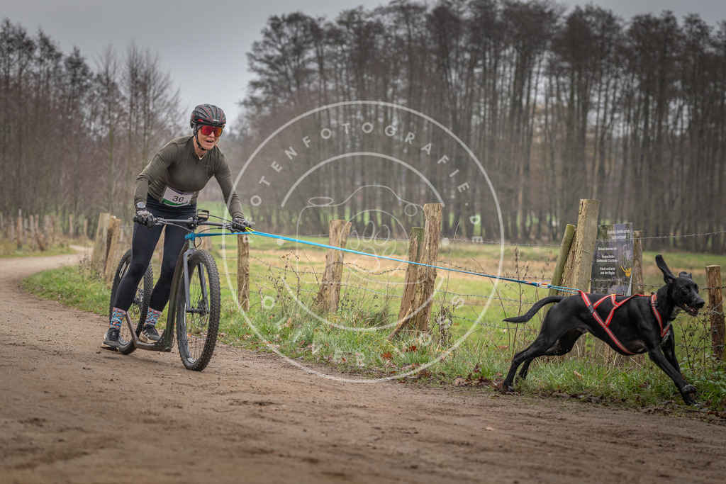 Pfotenfotografie_DV3A2217 | Hundefotografie, Tierfotograf, Pfotenfotografie, Fotoshooting Hund, Hunde Portrait, Hundesport, Hundeportraits, Heideshooting, Hunde, Sportfotograf, Hundefotograf, Turnierhundsport, THS,  - Realisiert mit Pictrs.com