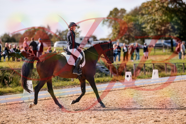 2026_10_03_Siefer-Hof_133824_Z81_95931734 | Professionelle Reitsport-, Turnier- und Eventfotografie von Robert Broda. Galerien mit ausgewählten und bearbeiteten Bildern direkt online ansehen und bestellen.