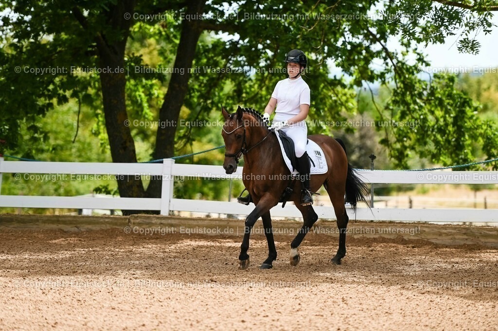 20230715_05_Dressurprüfung Kl.A++_0006 | equistock