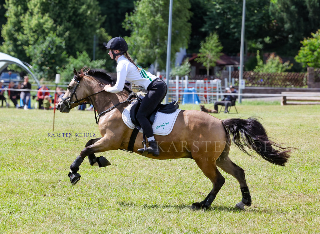 1B3A4292 | Reitsport Reiten