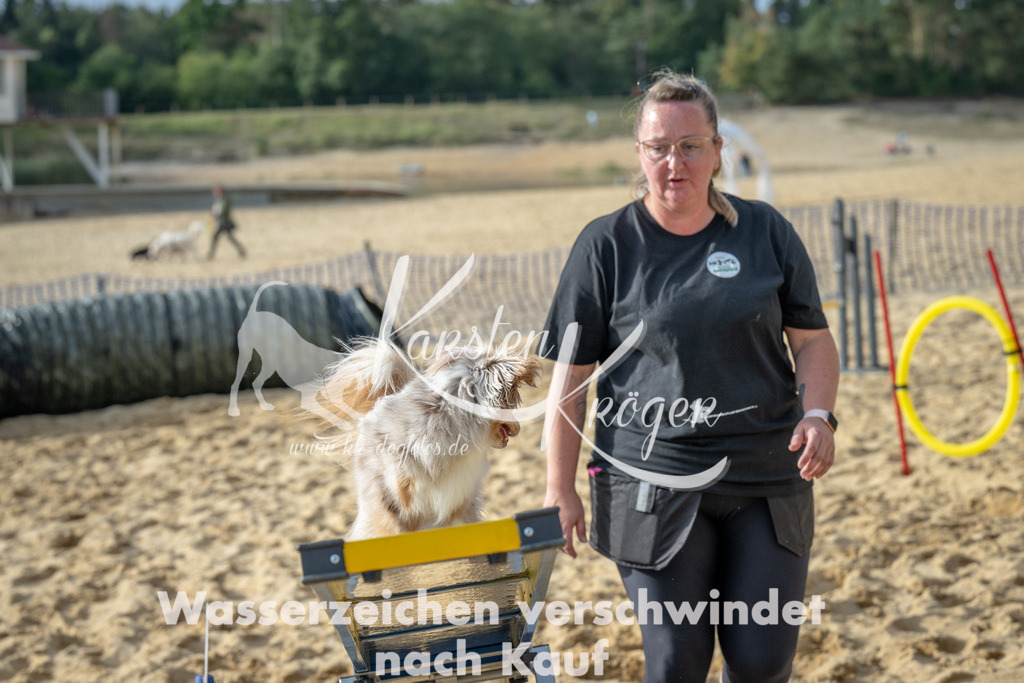 1600_ZZ92643 | kk-dogfotos
