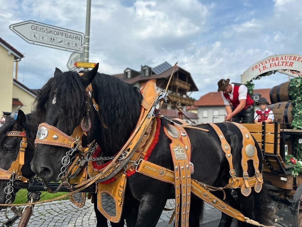 Das_Fest_150_Jahre_FFw_Hochdorf (1) | Professionelle Fotos Ihrer Veranstaltung? Pressebüro Thexterei Downloadbereich!   - Realisiert mit Pictrs.com
