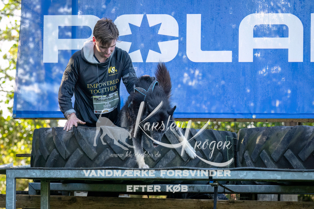 1031--4 | kk-dogfotos