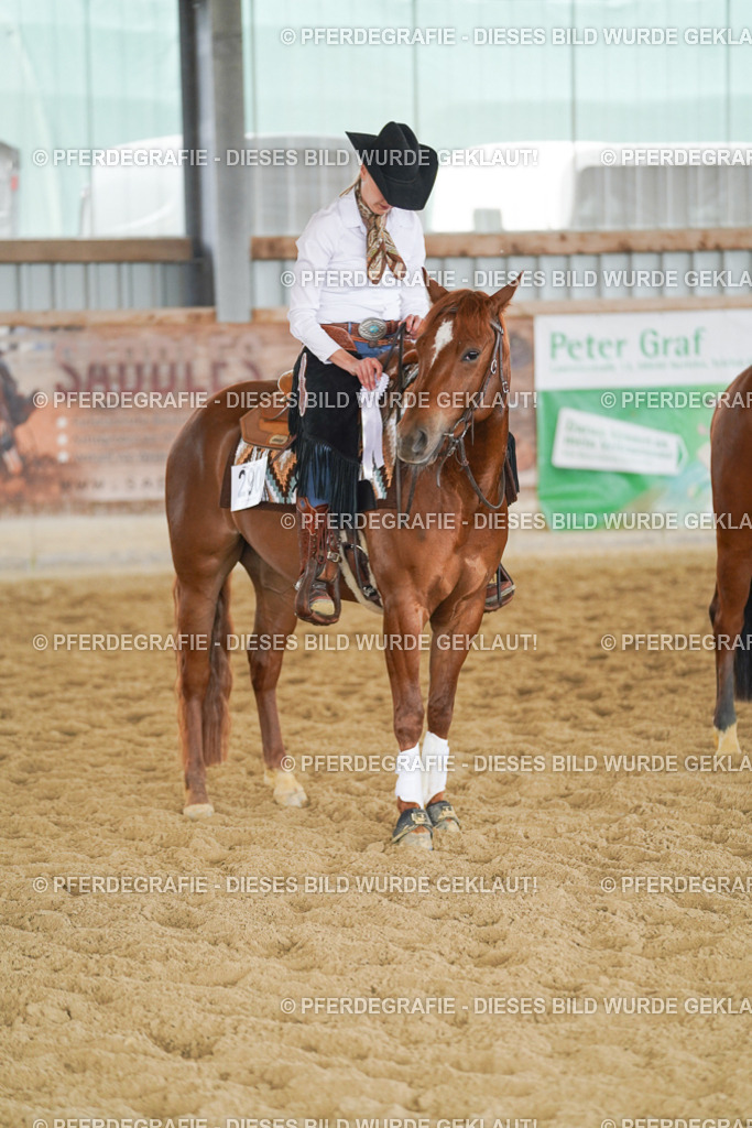 DSC06479 | Pferdegrafie