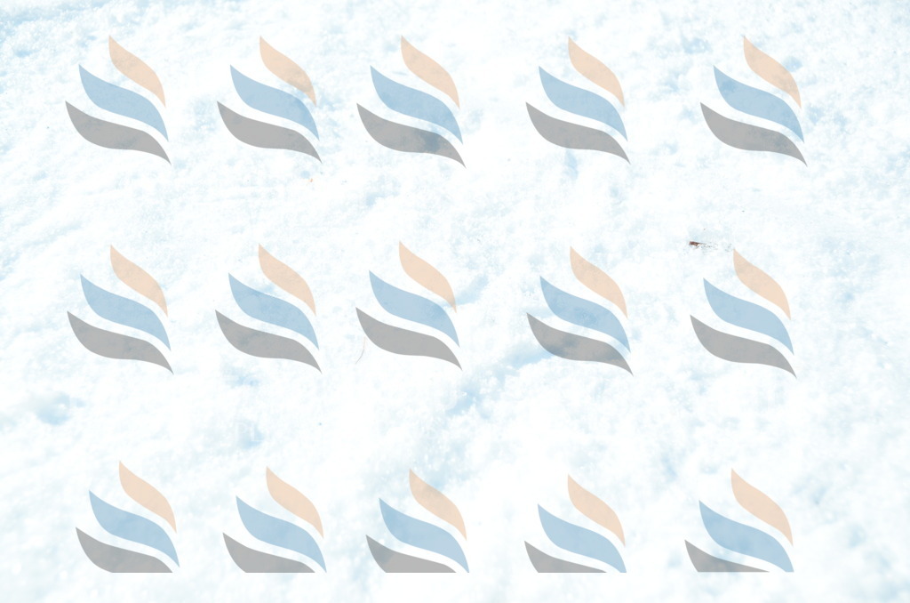 C6625 | holidayphoto