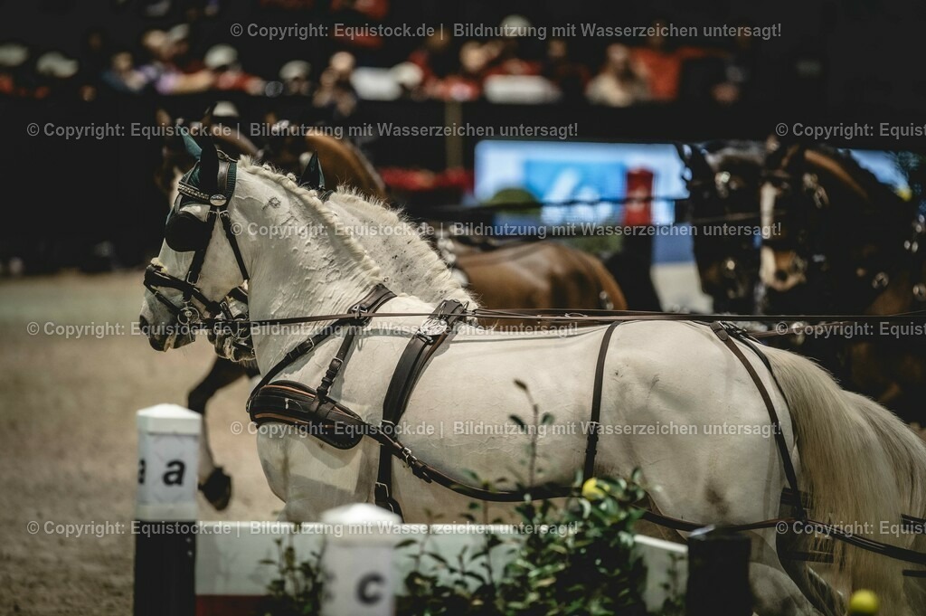 20240203_FEI-Driving-World-Cup_0008 | Foto: Thomas Hartig