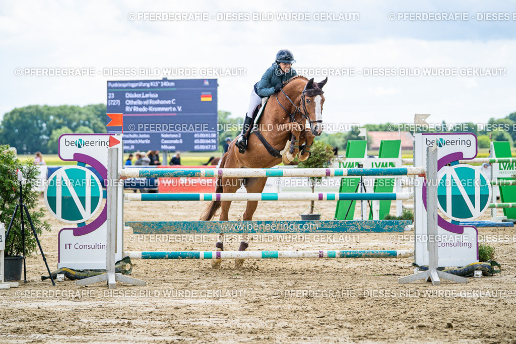 DSC05884 | Pferdegrafie