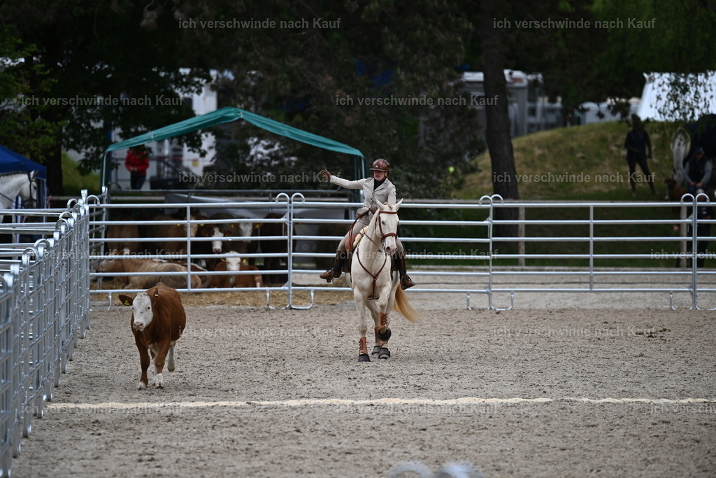 PI26_COW_Sara Landvogt226_7592.JPG | working equitationturnier fotograf videograf stoibphotography marixx film working equitation deutschland reitsport turnierfotografie eventfotografie equestrian events