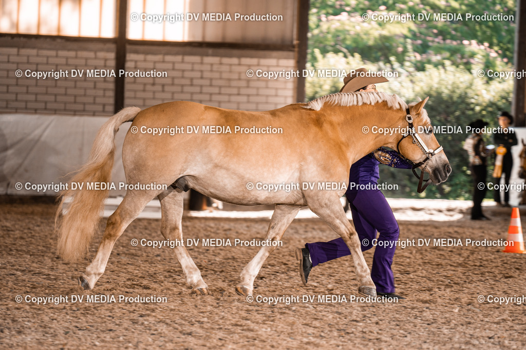 ZH100166 | dv-media-shop - Realisiert mit Pictrs.com