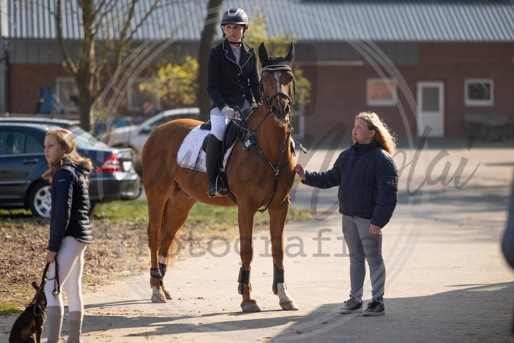 994A9704 | sabrinanicolaifotografie - Realisiert mit Pictrs.com