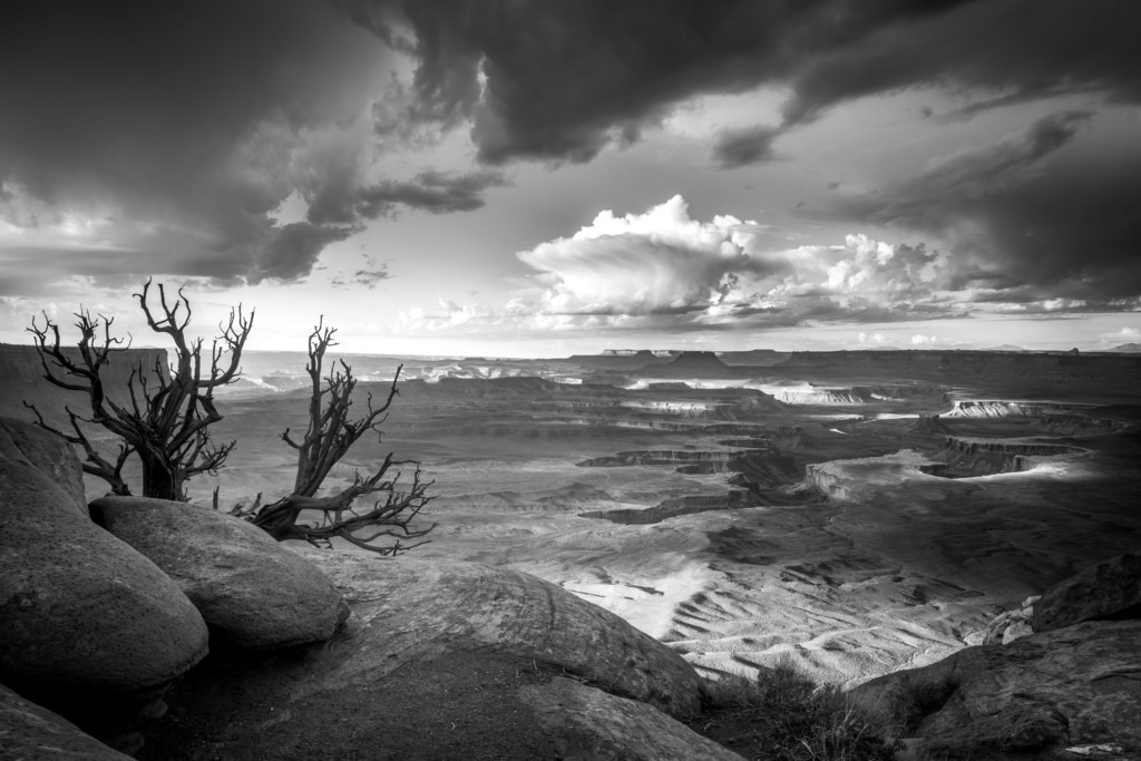 Canyonland | Im Canyonland Nationalpark in den Vereinigten Staaten - Realisiert mit Pictrs.com