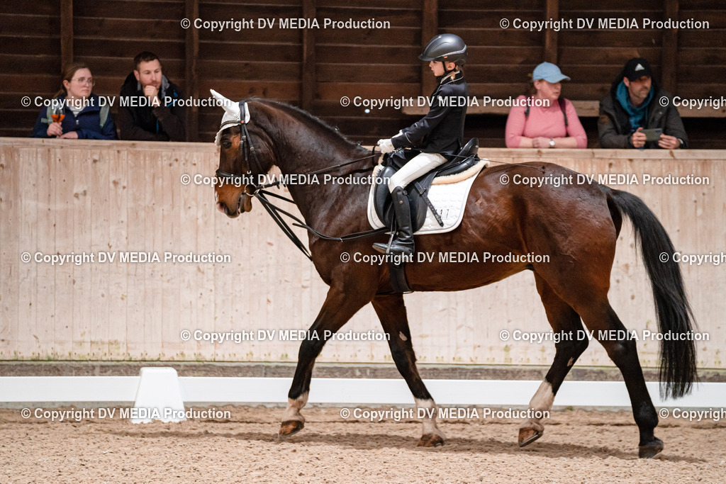 Dressur Tag 2-517 | dv-media-shop - Realisiert mit Pictrs.com