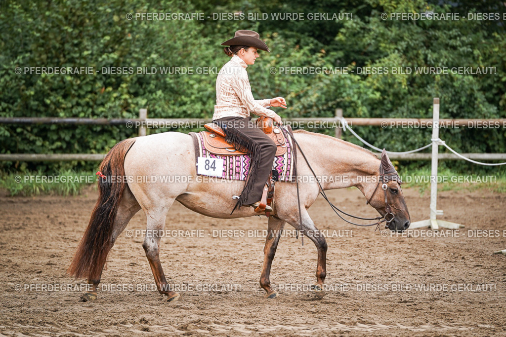 DSC03131 | Pferdegrafie