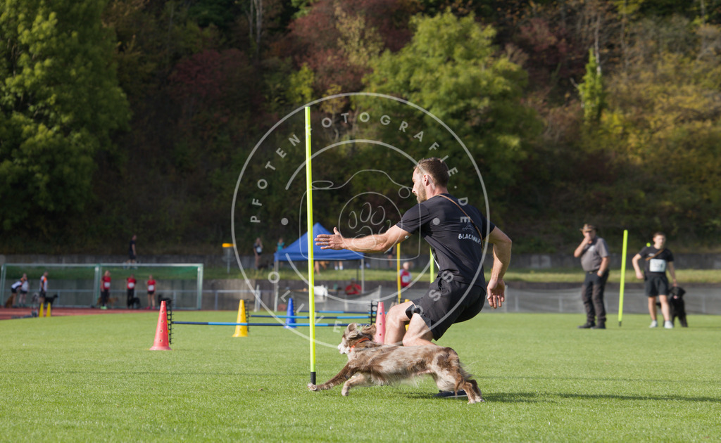 0L8A3932 | Hundefotografie, Tierfotograf, Pfotenfotografie, Fotoshooting Hund, Hunde Portrait, Hundesport, Hundeportraits, Heideshooting, Hunde, Sportfotograf, Hundefotograf, Turnierhundsport, THS,  - Realisiert mit Pictrs.com