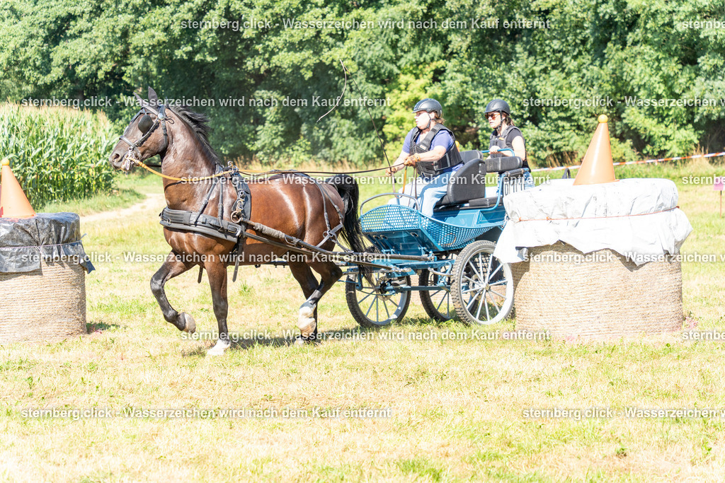 2026-08-08_14-42-14_WBO_Pulsnitz-2 | sternberg.click - Realisiert mit Pictrs.com