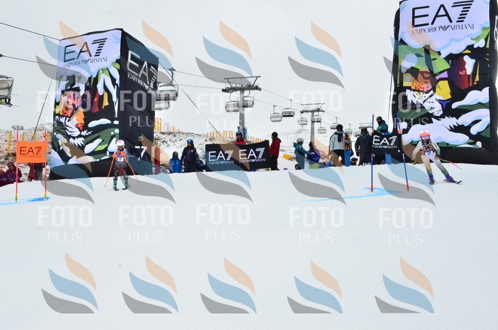 _ELE3176 | holidayphoto