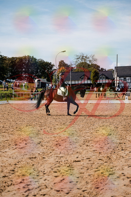 2026_10_03_Siefer-Hof_133510_Z63_94373661 | Professionelle Reitsport-, Turnier- und Eventfotografie von Robert Broda. Galerien mit ausgewählten und bearbeiteten Bildern direkt online ansehen und bestellen.