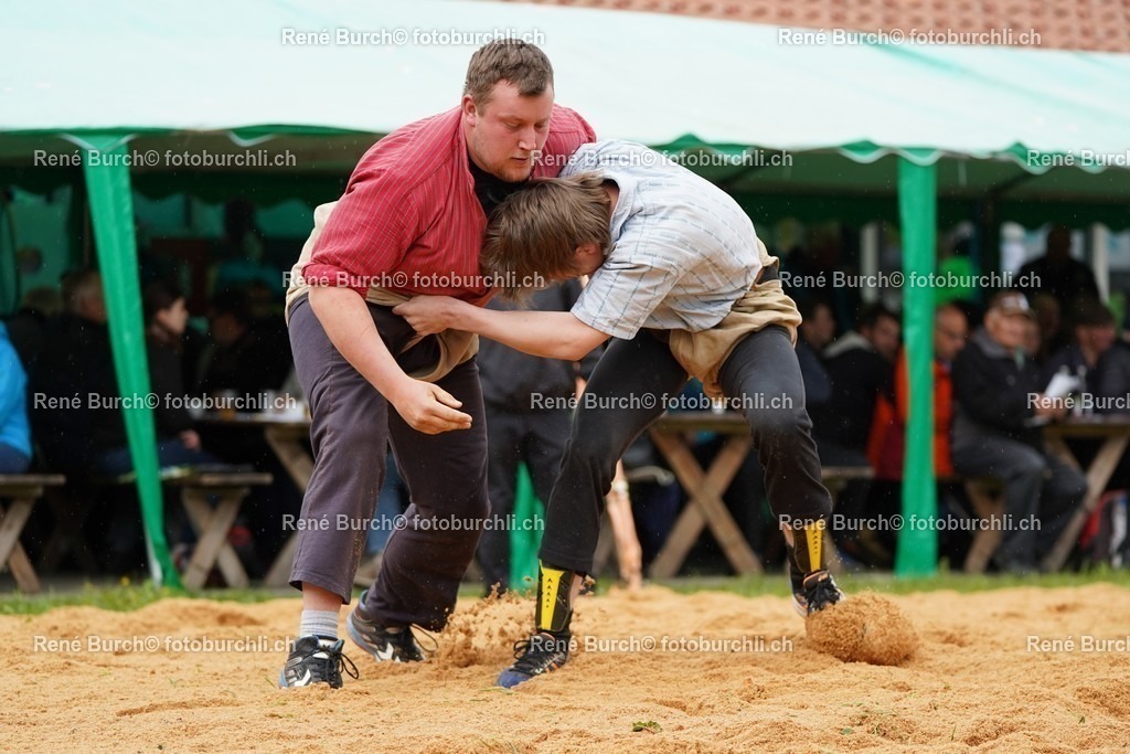 20220424-DSC00148 | René Burch leidenschaftlicher Fotograf aus Kerns in Obwalden.  Hier finden sie Sport, Landschaft und Natur Fotografie.
 - Realisiert mit Pictrs.com