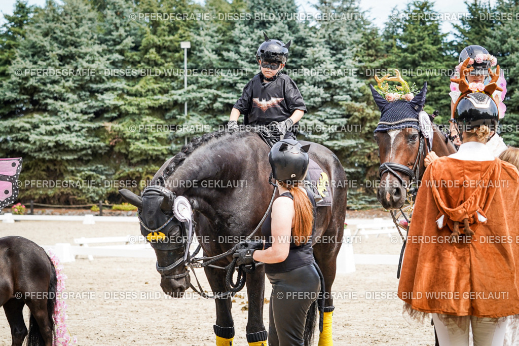 DSC03217 | Pferdegrafie