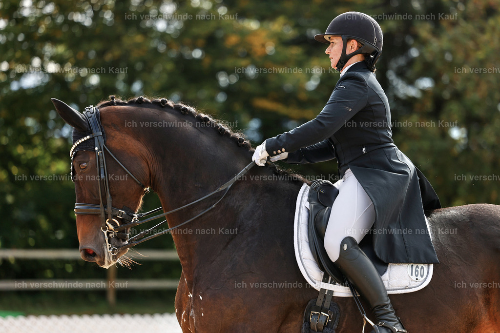 6-160-AMATUER-DRESSUR S_  -StoibPH-3452 | working equitationturnier fotograf videograf stoibphotography marixx film working equitation deutschland reitsport turnierfotografie eventfotografie equestrian events