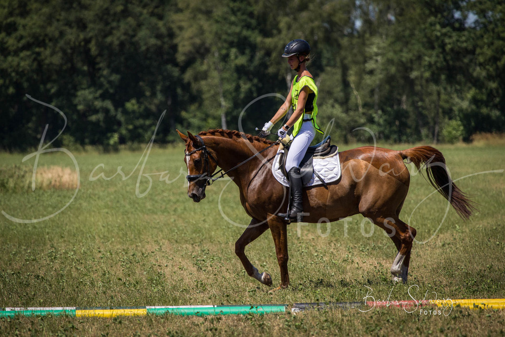 CJP_2026-06-26_34 | Stimmungsvolle Fotografie von Pferden, fotografische Begleitung von Veranstaltungen, Golfturnieren und Distanzritten - Realisiert mit Pictrs.com