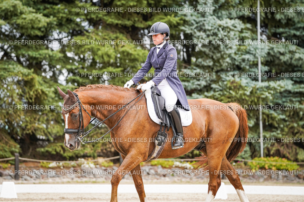 DSC04901 | Pferdegrafie