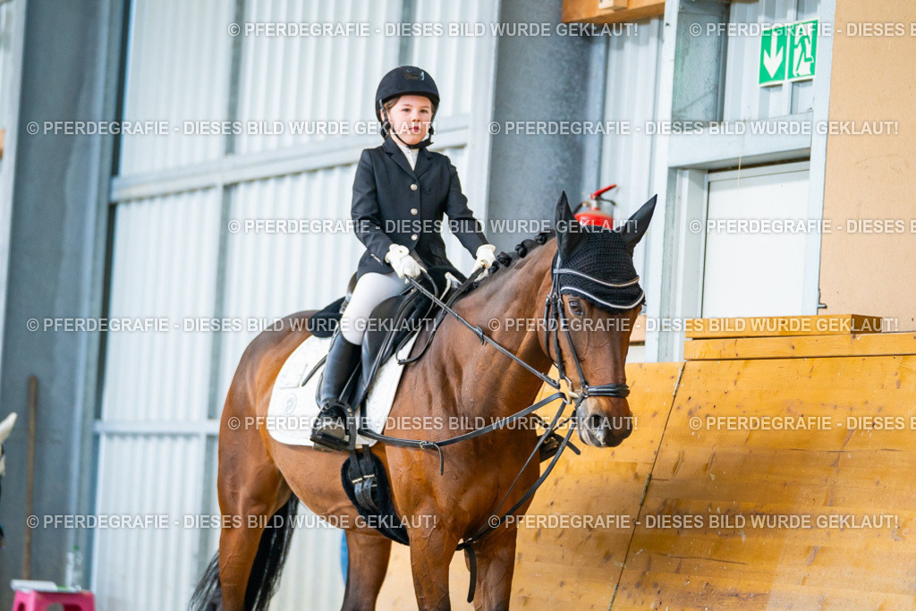 DSC01038 | Pferdegrafie