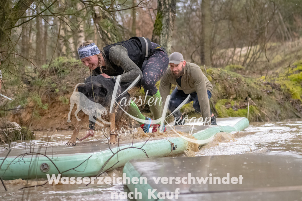 0905_ZZ90246-Bearbeitet | kk-dogfotos