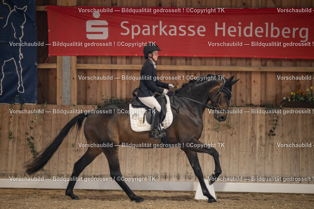 _D5A8321 | Emotionale Pferde- & People-Fotografie rund um Heidelberg, Leimen & Umgebung. Natürliche Fotos von Pferd, Mensch & Familie. Jetzt Termin sichern!