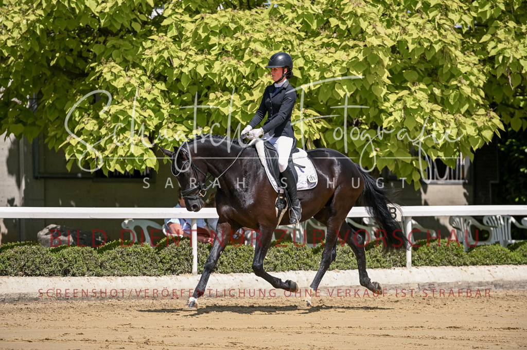 Schugtsche-Aluta25-48.Reitpferfdeprf.-210 | Schugtsche Fotografie - Realisiert mit Pictrs.com