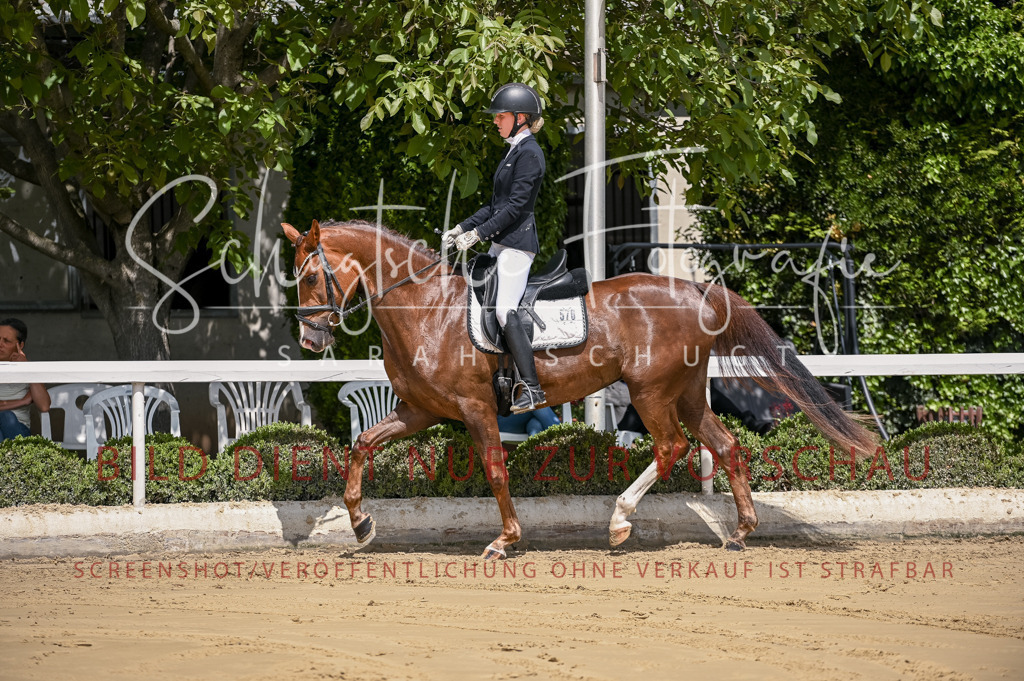 Schugtsche-Aluta25-48.Reitpferfdeprf.-78 | Schugtsche Fotografie - Realisiert mit Pictrs.com