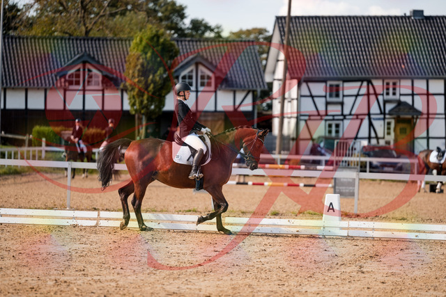 2026_10_03_Siefer-Hof_130951_Z63_71779433 | Professionelle Reitsport-, Turnier- und Eventfotografie von Robert Broda. Galerien mit ausgewählten und bearbeiteten Bildern direkt online ansehen und bestellen.