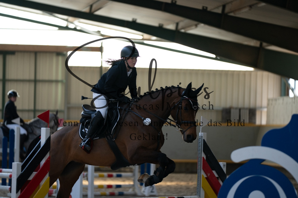 A7V06373 | Pferdefotograf