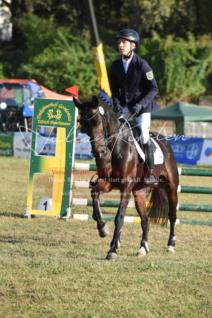 DSC_5057 | Pferde- und Turnierfotografie in Westsachsen. Pferdeportraits, Auftragszeichnungen und intuitive Kunst.