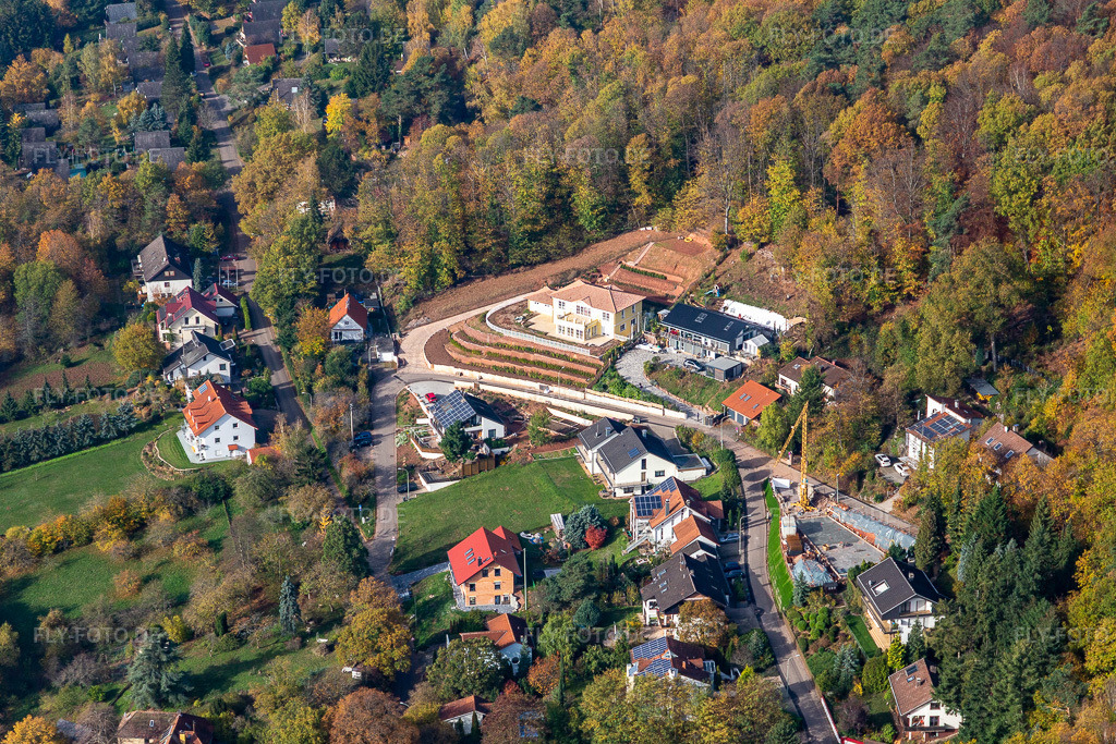 Luftbild: Ferienhaus Slevogtstr in Leinsweiler im Bundesland Rheinland-Pfalz in Deutschland. Foto: IMG_123740.jpg vom 07.11.2020 durch Werner Riehm/FLY-FOTO.de