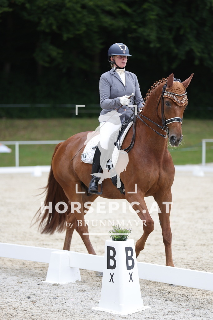 0P6A4612 | Willkommen bei Brunnmayr - Design & Fotografie – Ihrem Spezialisten für Reitturniere und Pferdeveranstaltungen in Oberösterreich, Salzburg und Bayern! Seit über 17 Jahren sind wir leidenschaftlich dabei.