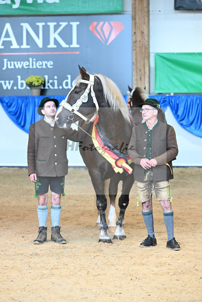 Kat-Nr. 43 Oxana_Steinle_53222921 | hf-fotografie - Realisiert mit Pictrs.com